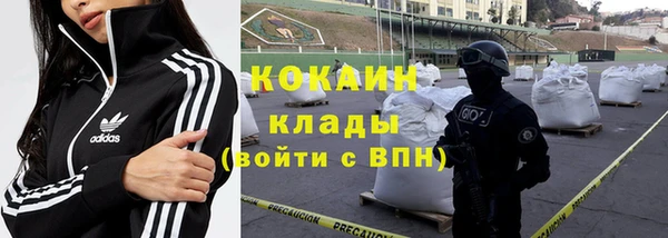 ГАЛЛЮЦИНОГЕННЫЕ ГРИБЫ Михайловск