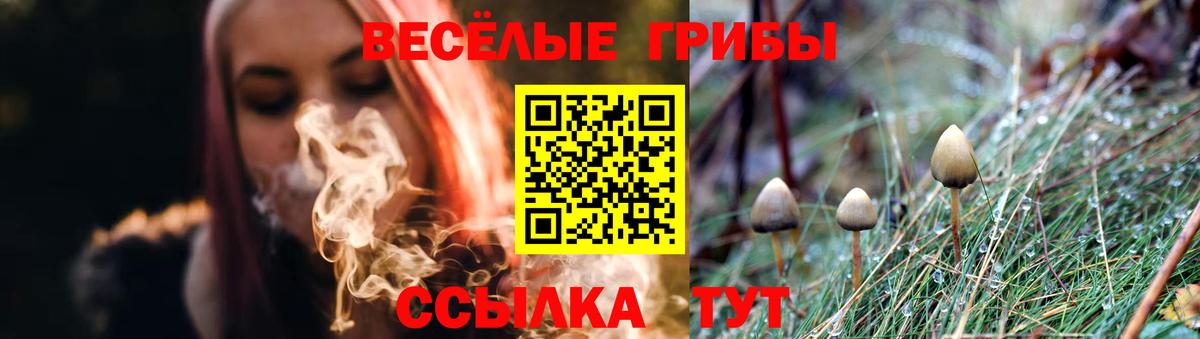 Псилоцибиновые грибы MAGIC MUSHROOMS Домодедово